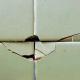 How to Remove and Replace Broken Ceramic Tiles How to Remove and Replace Broken Ceramic Tiles