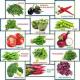 Designing Vegetable Garden Plans and Goals Designing Vegetable Garden Plans and Goals