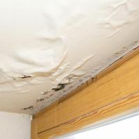 Leaky Ceilings and Telltale Signs of Ongoing Problems
