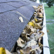 Home Maintenance Jobs You Need to do This Winter Home Maintenance Jobs You Need to do This Winter