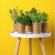 Herb Planters Help You Produce Irresistible Tastes Herb Planters Help You Produce Irresistible Tastes
