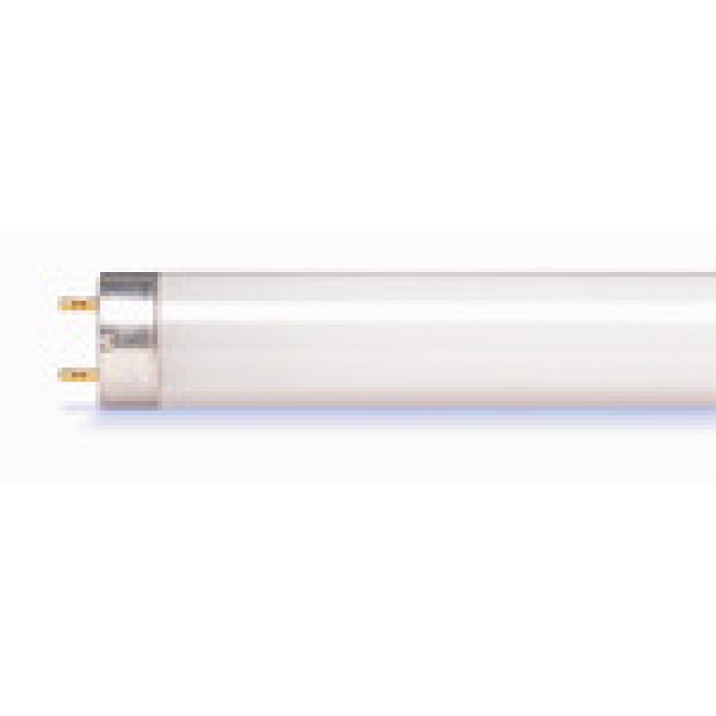 All You Need to Know About Linear Fluorescent Lamps All You Need to Know About Linear Fluorescent Lamps