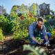 The 10 Best Fruits and Vegetables to Grow in Your Garden The 10 Best Fruits and Vegetables to Grow in Your Garden