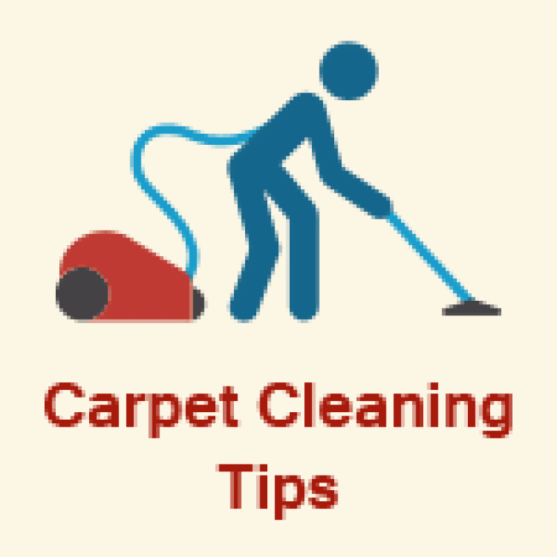 How to Clean Your Carpet and Protect Your Investment (Learn the Basics) How to Clean Your Carpet and Protect Your Investment (Learn the Basics)