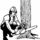 DIY Tree Removal - Safely and Efficiently DIY Tree Removal - Safely and Efficiently