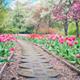 8 Ways of Renovating Your Backyard 8 Ways of Renovating Your Backyard