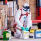 Ingenious Method to Get Rid of Ants at Your Home Ingenious Method to Get Rid of Ants at Your Home