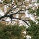 5 Ways to Maintain a Home Landscape 5 Ways to Maintain a Home Landscape