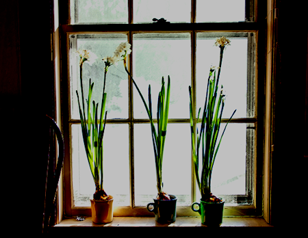 windowsill