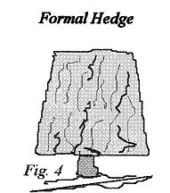 Pruning Formal Hedges