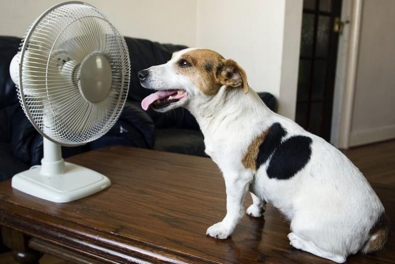 5 New Cool AC Technologies that Promise to Cool You Off