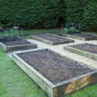 Designing Vegetable Garden Plans and Goals