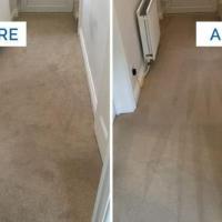 Carpet Cleaning Advice: 3x Tips to Remove Common Carpet Stains at Home