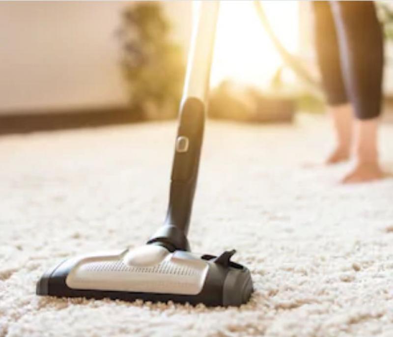 How to Clean Your Carpet and Protect Your Investment (Learn the Basics)