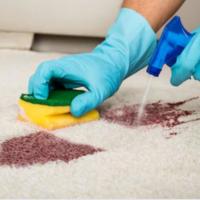 Rug Stain Removal