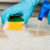 Effective Stain Removal tor Carpet Cleaning