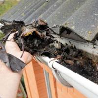 Maintain Your Roof in 6 Easy Steps