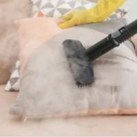 Use a Steam Cleaner to Remove Odors from Your Home!