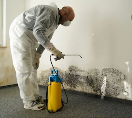 Mold Remediation