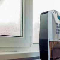 Why Does Your Home Need a Dehumidifier? 