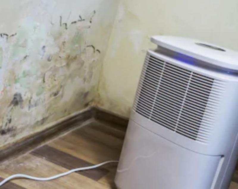 Basement Dehumidifiers to Dry Your Damp Basement