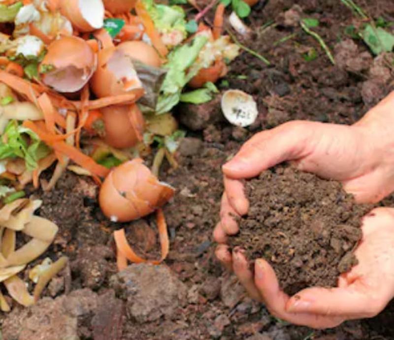 How to Compost and How it Works