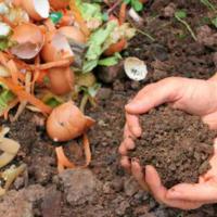 How to Compost and How it Works