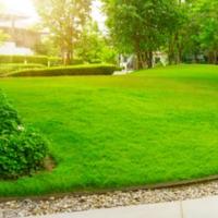 How to Install Landscape Edging