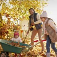 Fall Garden Chores, Part 1