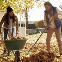 Fall Garden Chores, Part 2