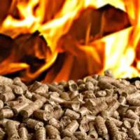Using Biomass to Heat Your Home