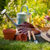 A Guide to Garden Landscaping and Maintenance