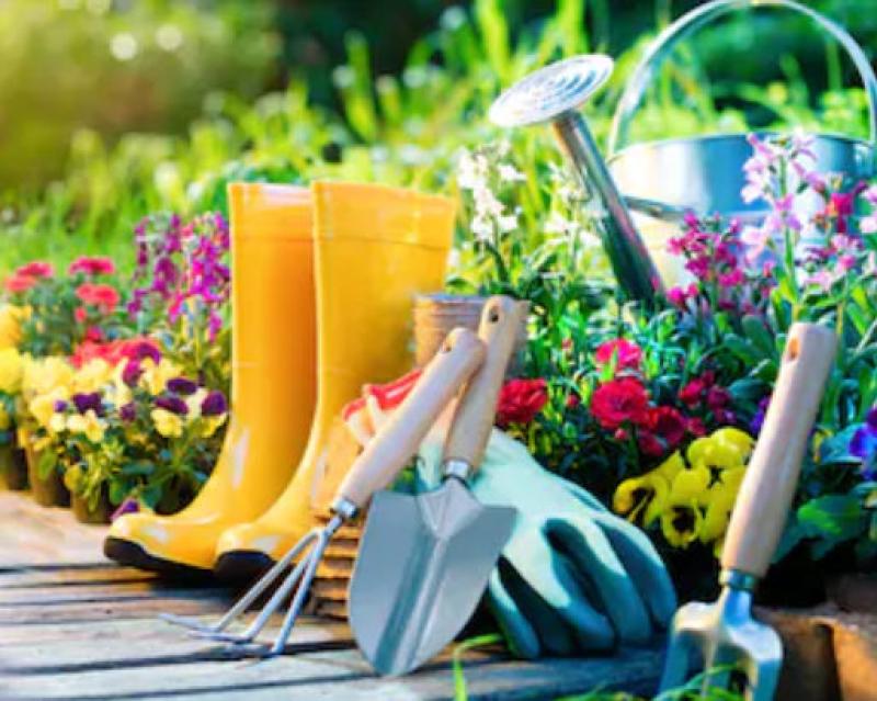 Tips for the Beginning Gardener