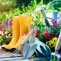 Tips for the Beginning Gardener