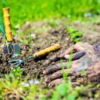 How to Prepare Your Garden for Spring