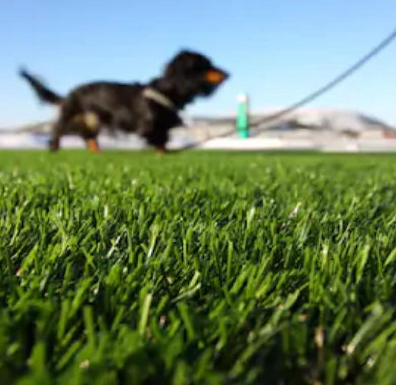 The Advantages of Artificial Grass