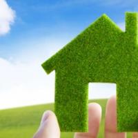 How You Can Save the Environment by Taking Care of Your Home