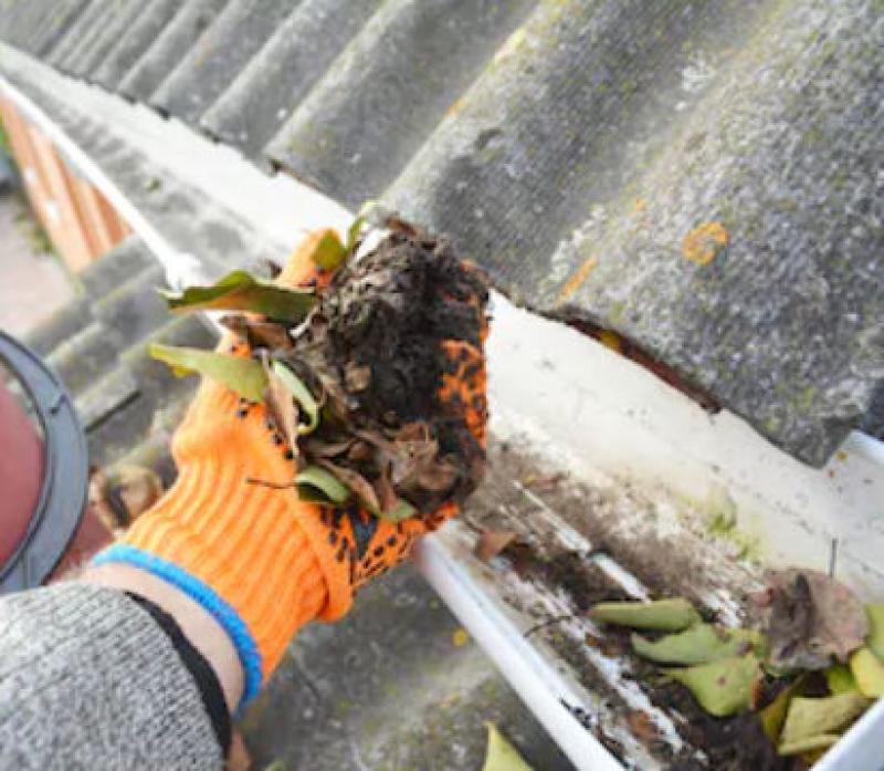 Learning Everything You Need to Know about Gutter Cleaning