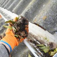 Learning Everything You Need to Know about Gutter Cleaning