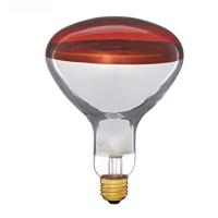 Should You Install a Bathroom Heat Light Lamp?