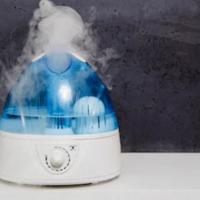 Picking the Right Humidifier for Your Home
