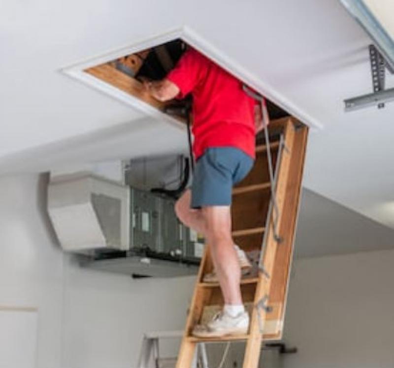 Learning All About the Concertina Loft Ladder