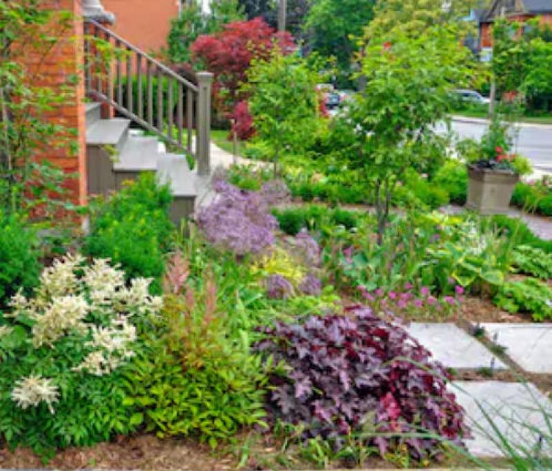 Different Types of Landscaping Features for Your Front Yard