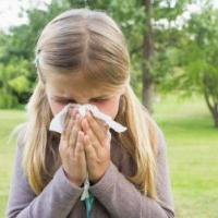 Cancel Allergy Season with These Common Sense Landscaping Tips 