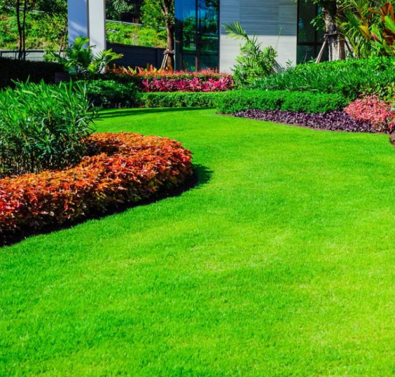 A Short Guide to Transforming Your Lawn to Lush Green