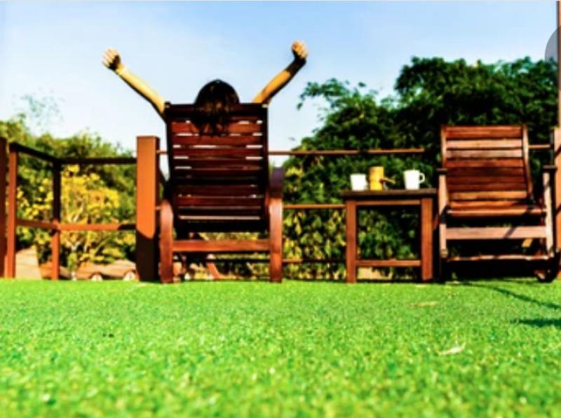 Making Your Lawn Beautiful without any Hard Work