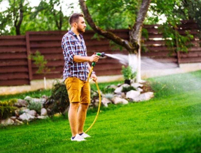 How to Maintain Your Lawn