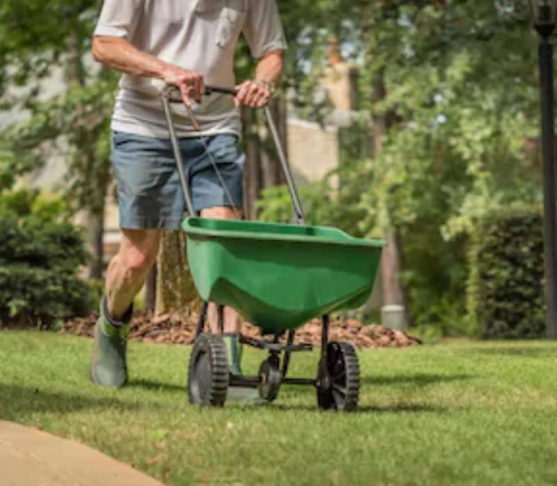 Lawn Care after Summer: 5 Useful Tips