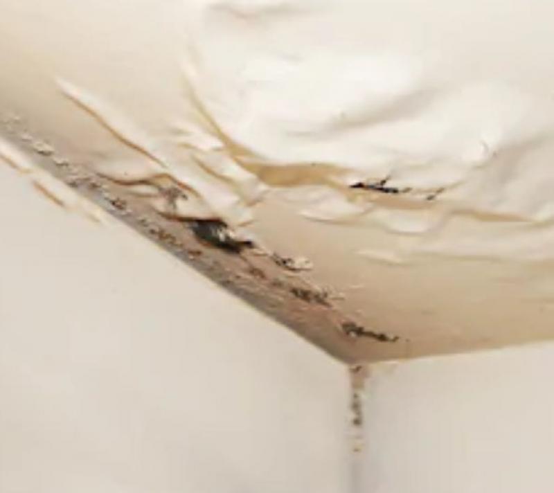 How to Find and Repair a Roof Leak