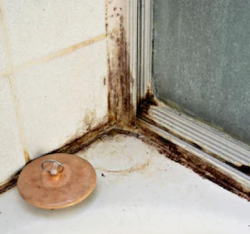 Remove Mold from Your Shower - Chemical Free!